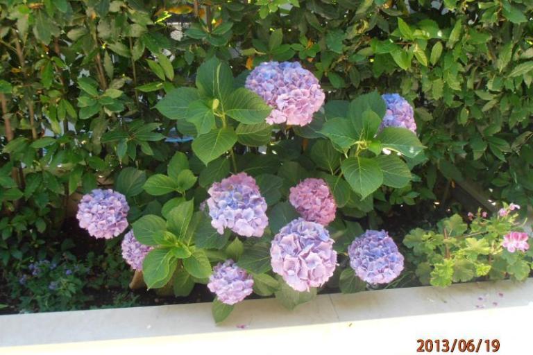 Apartment Renata – photo 17