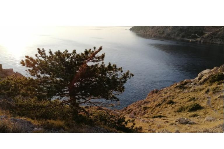 Apartments Kate – photo 26