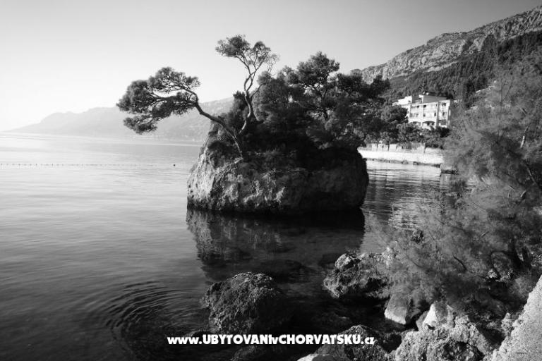 Apartments Kate – photo 27