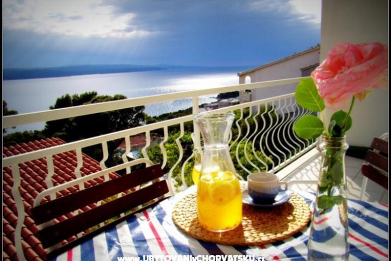 Apartments Miva – photo 7