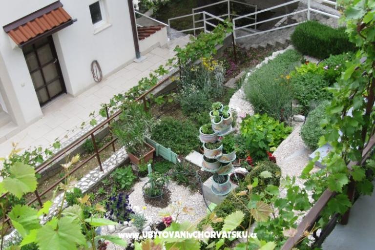 Apartments  Ivo Pikolo – photo 10