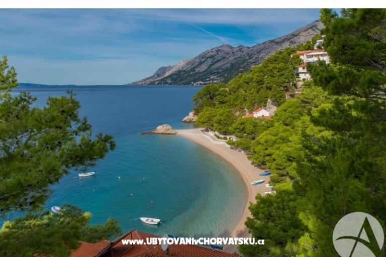 Beachview Apartments/Free parking – photo 7