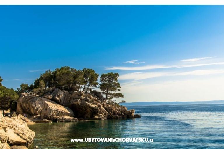 BRMARIN – photo 10