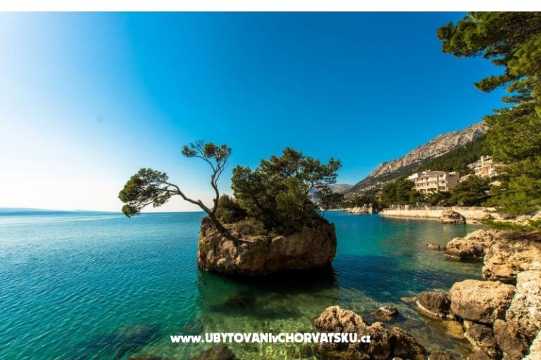 BRMARIN – photo 12