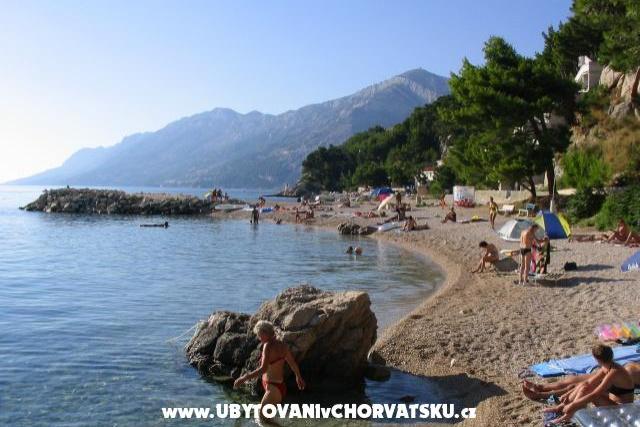 Hotel Vila Luka – photo 6
