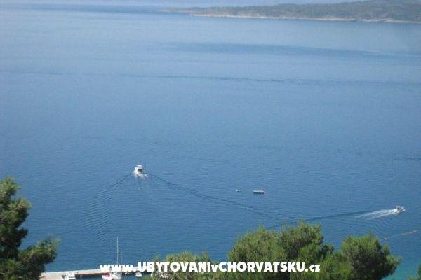 Luxury Villa-swimingpool,sauna,jacu – photo 4