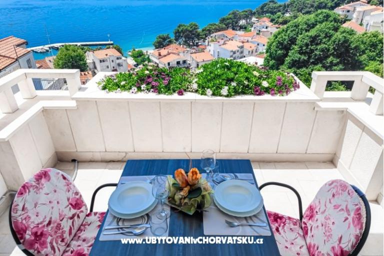 Rooms and Apartmentts Medic – photo 2