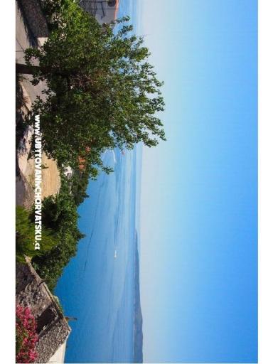 Vila Filip – photo 10