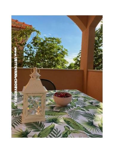 Vila Filip – photo 17