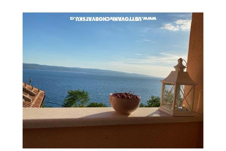 Vila Filip – photo 8