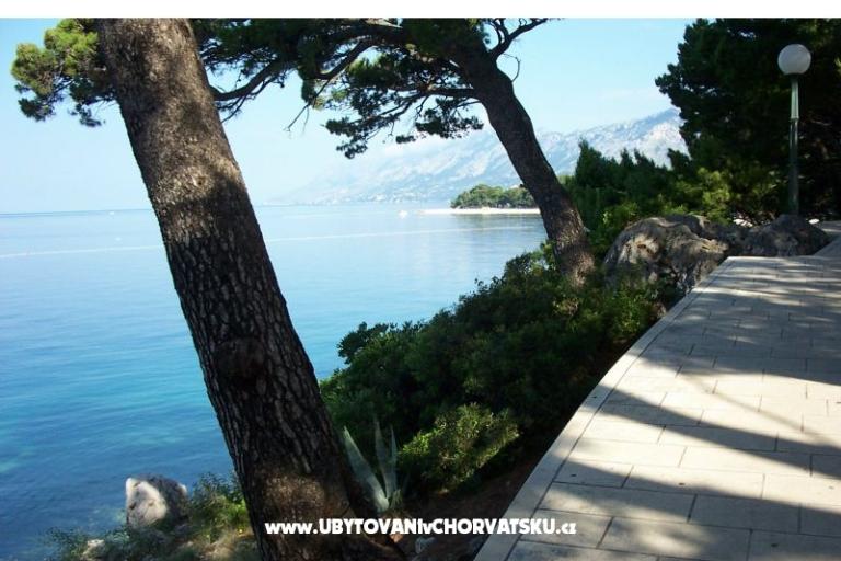 Villa Daniela – photo 11