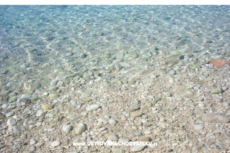 Villa Daniela – photo 13