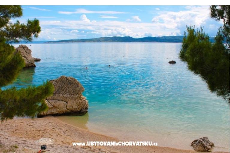 Stone Brela- swimming pool, grill – photo 15