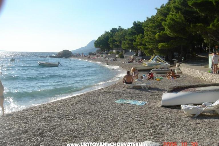 Villa Nadalina – photo 15