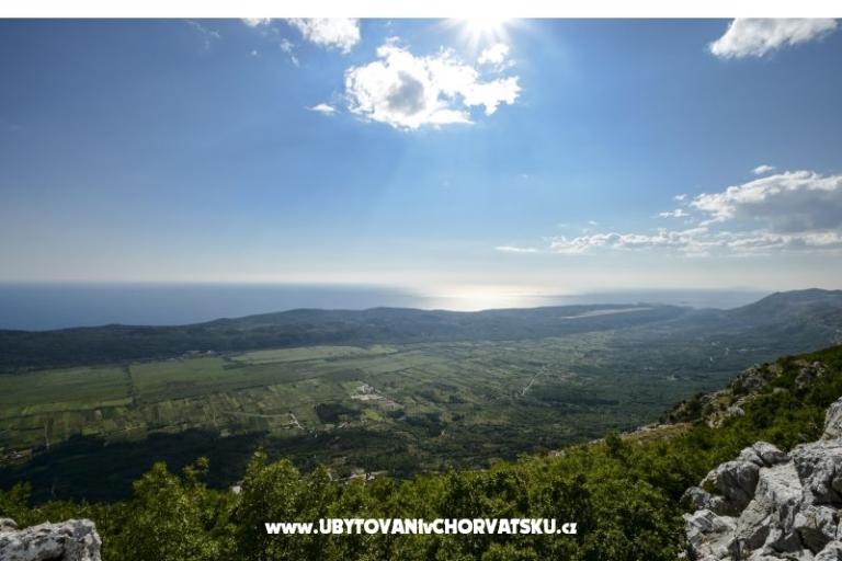 Apartment Kuna Konavoska – photo 17