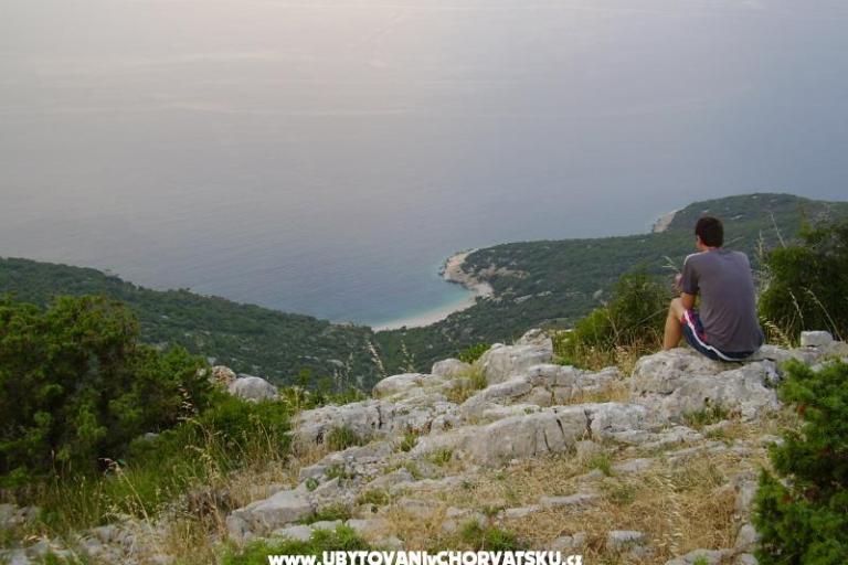 Apartments Mario – photo 14