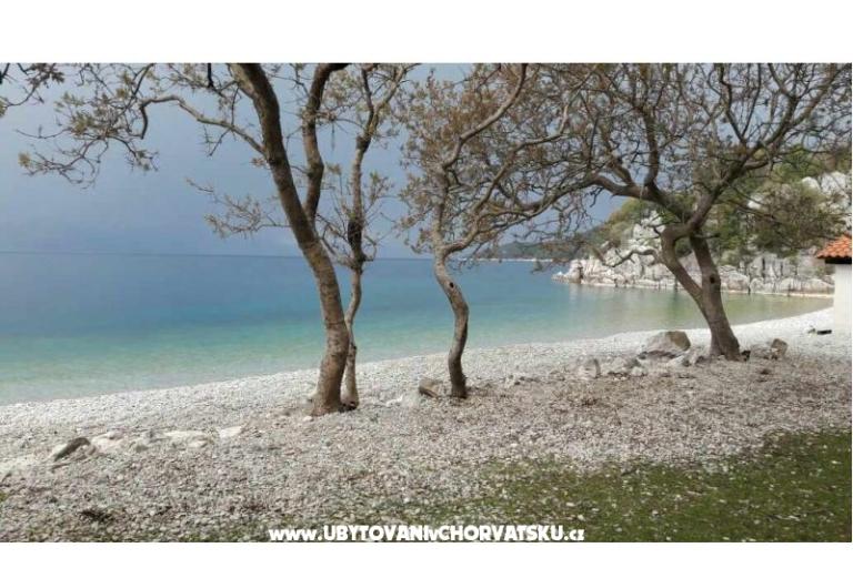 House Erika – photo 18