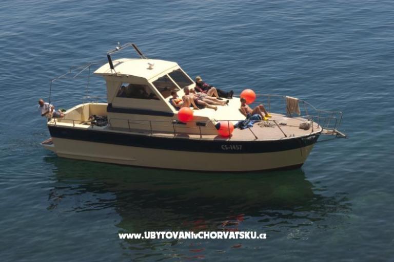 Pansion Tramontana – photo 9