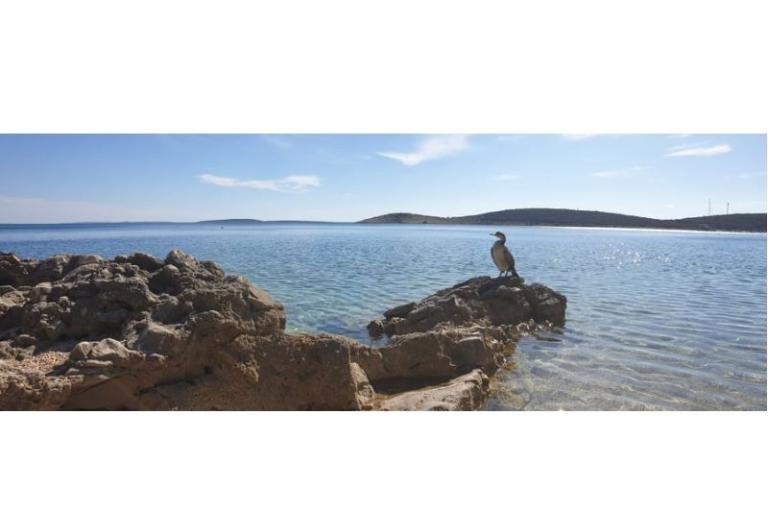 Accommodation Julia – photo 11