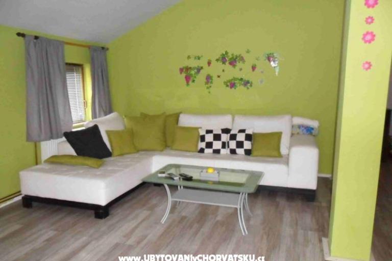 apartmani Cotra – photo 5