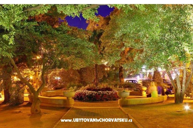 Apartments Grof Selce – photo 15