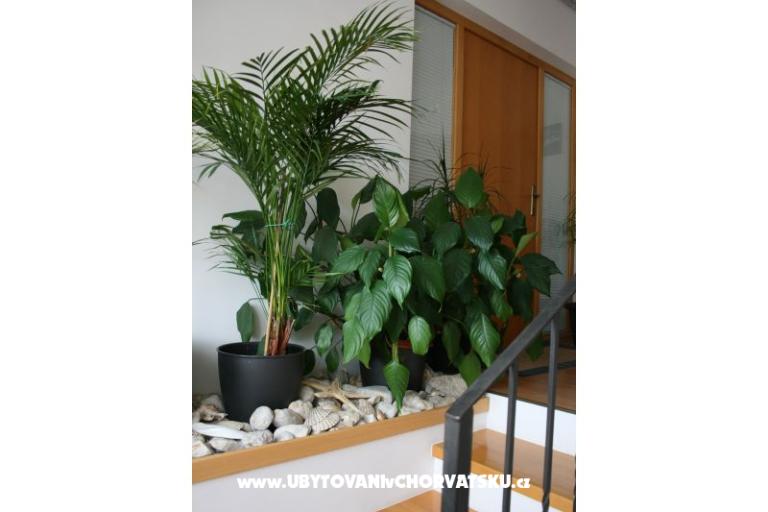 Apartments Katarina – photo 4