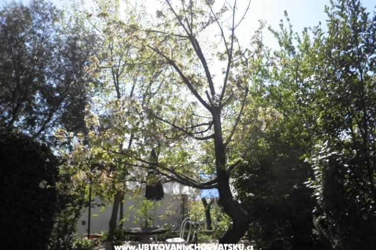 Apartments Rosi – photo 9