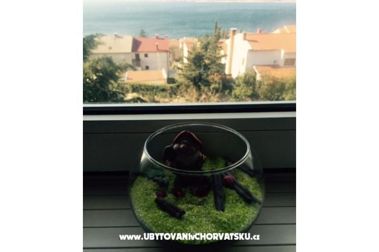 Apartment Sunny – photo 13