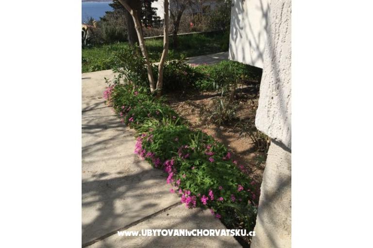 Apartment Sunny – photo 8