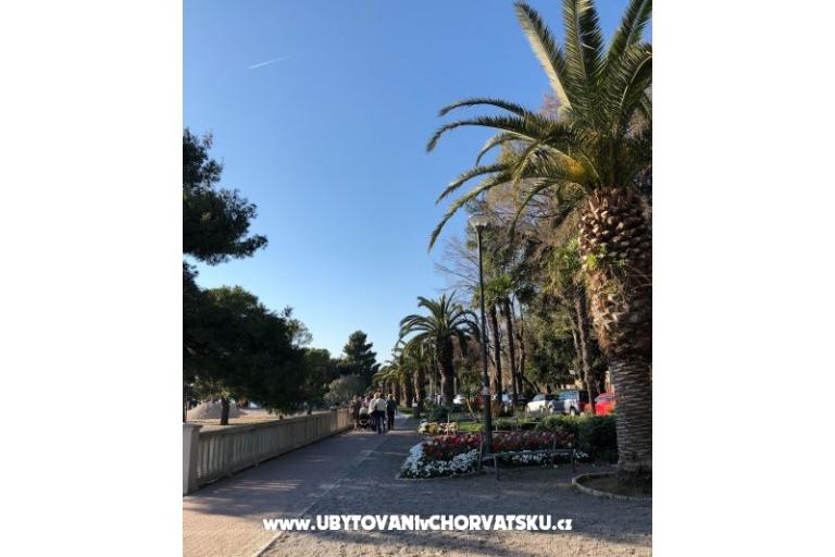 Apartments Sun and Sea – photo 10