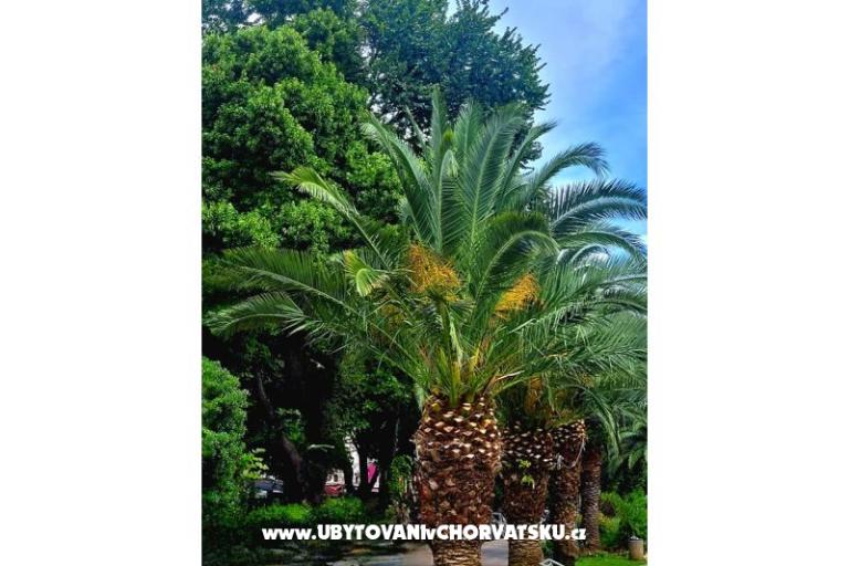 APARTMENTS VUKELIĆ  CRIKVENICA – photo 45