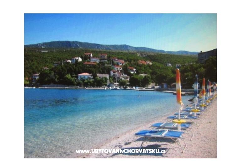 Luka Sočković – photo 10