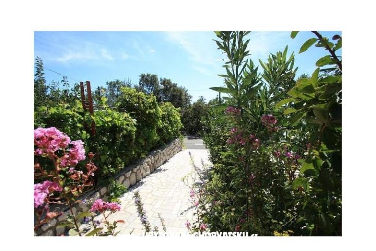 Apartments MOKI – photo 4