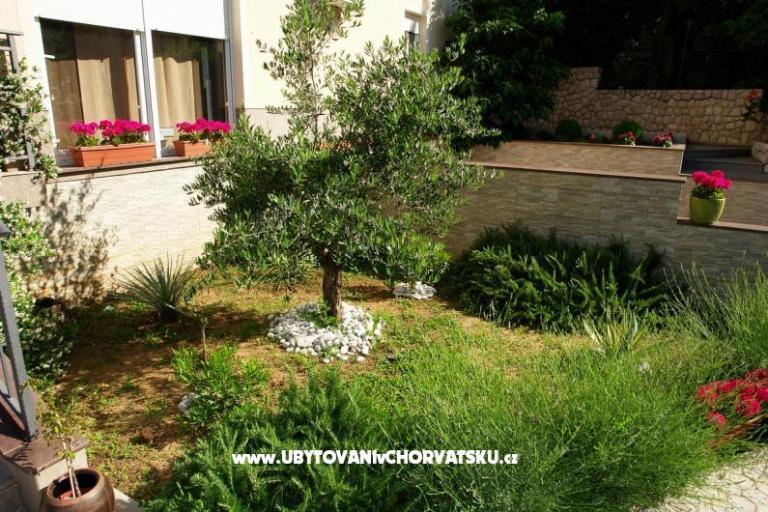 Villa Dolly – photo 7