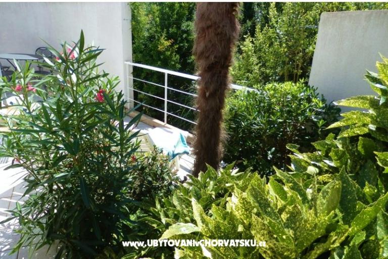 Villetta Magnolia – photo 2