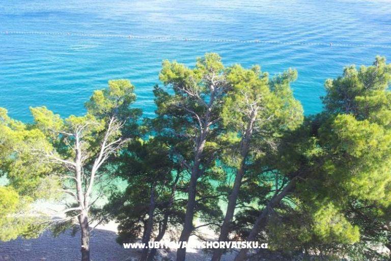 Aparmani Marin  – photo 5