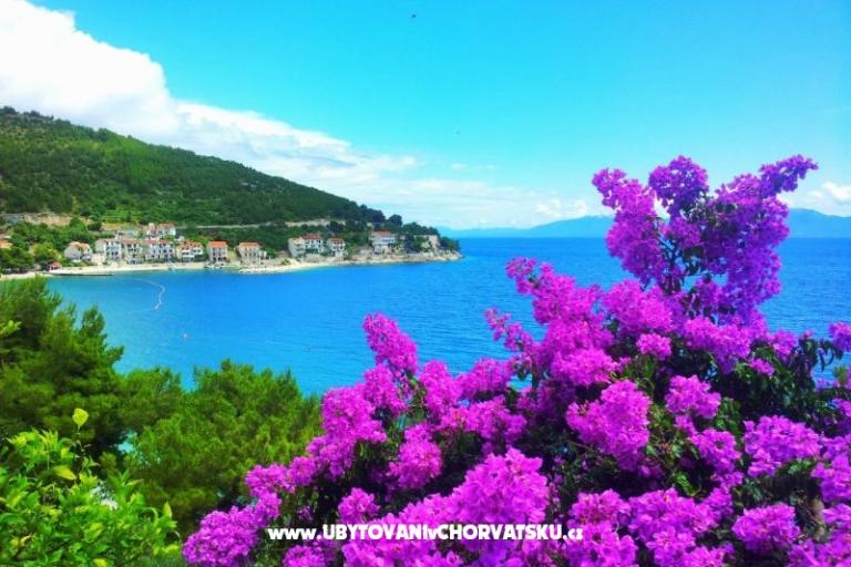 Aparmani Marin  – photo 6