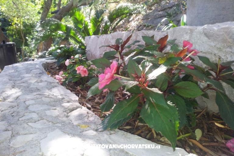 Aparmani Marin  – photo 7