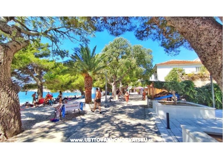 Apartments Jagmić – photo 14