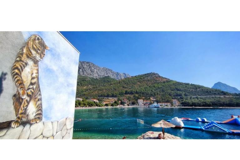 Apartments Jagmić – photo 8