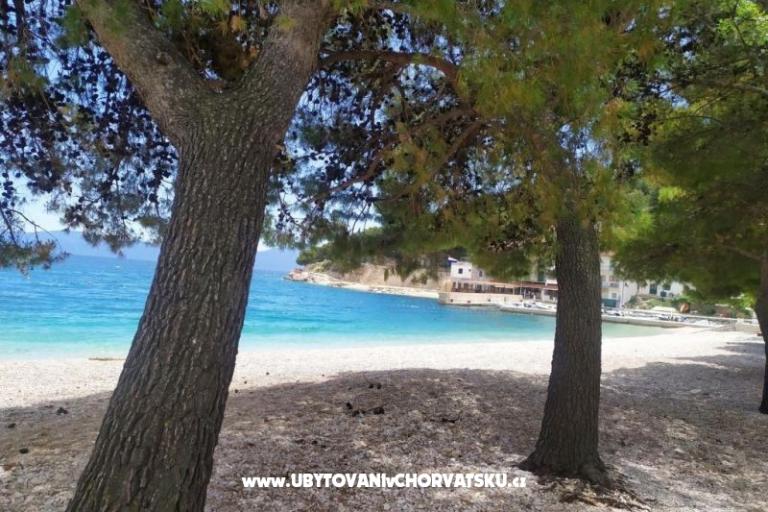 Apartments Plavi Jadran – photo 12