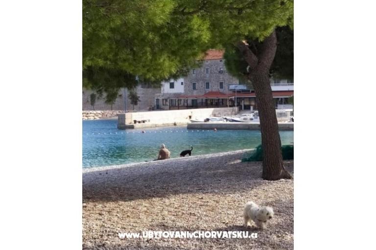 Apartments Plavi Jadran – photo 7