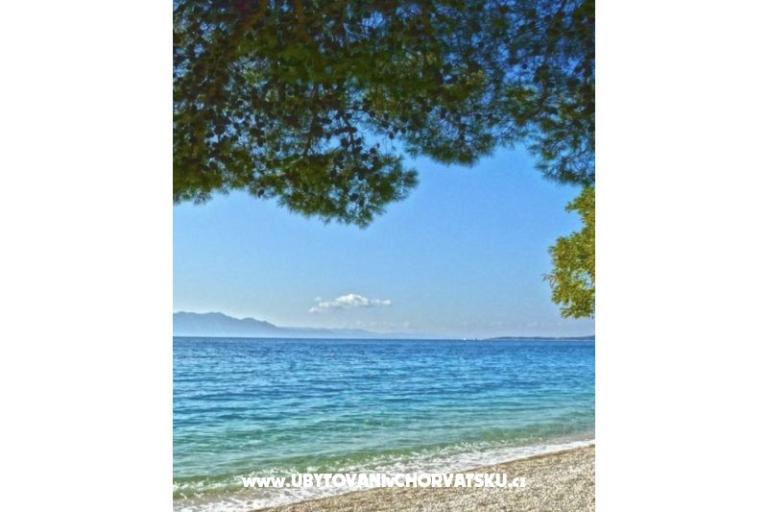 Delić Apartments  – photo 5