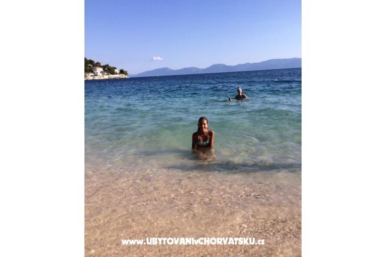 Villa  Delic – photo 18