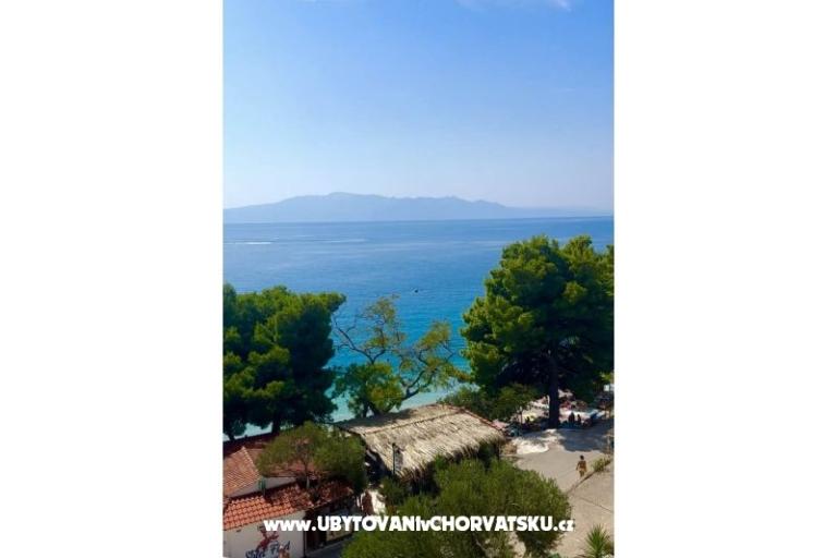 Villa  Delic – photo 21