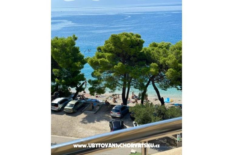 Villa  Delic – photo 22