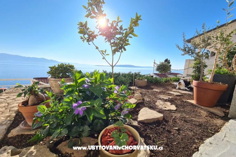 Apartments Puntin – photo 4