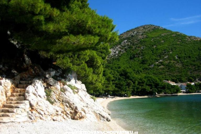 Apartments Puntin – photo 7