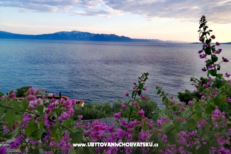 Vila Vesna – photo 2