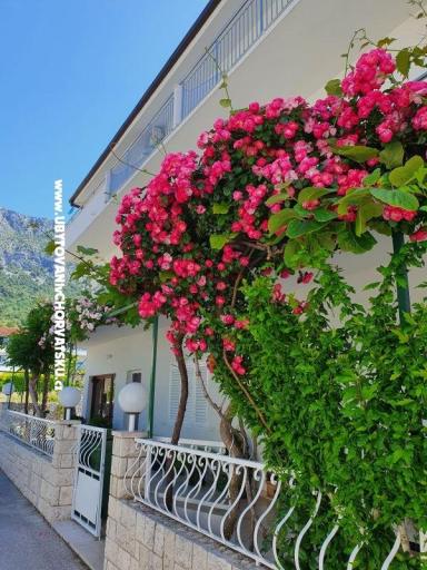 Apartments Villa Ivan Drvenik – photo 2